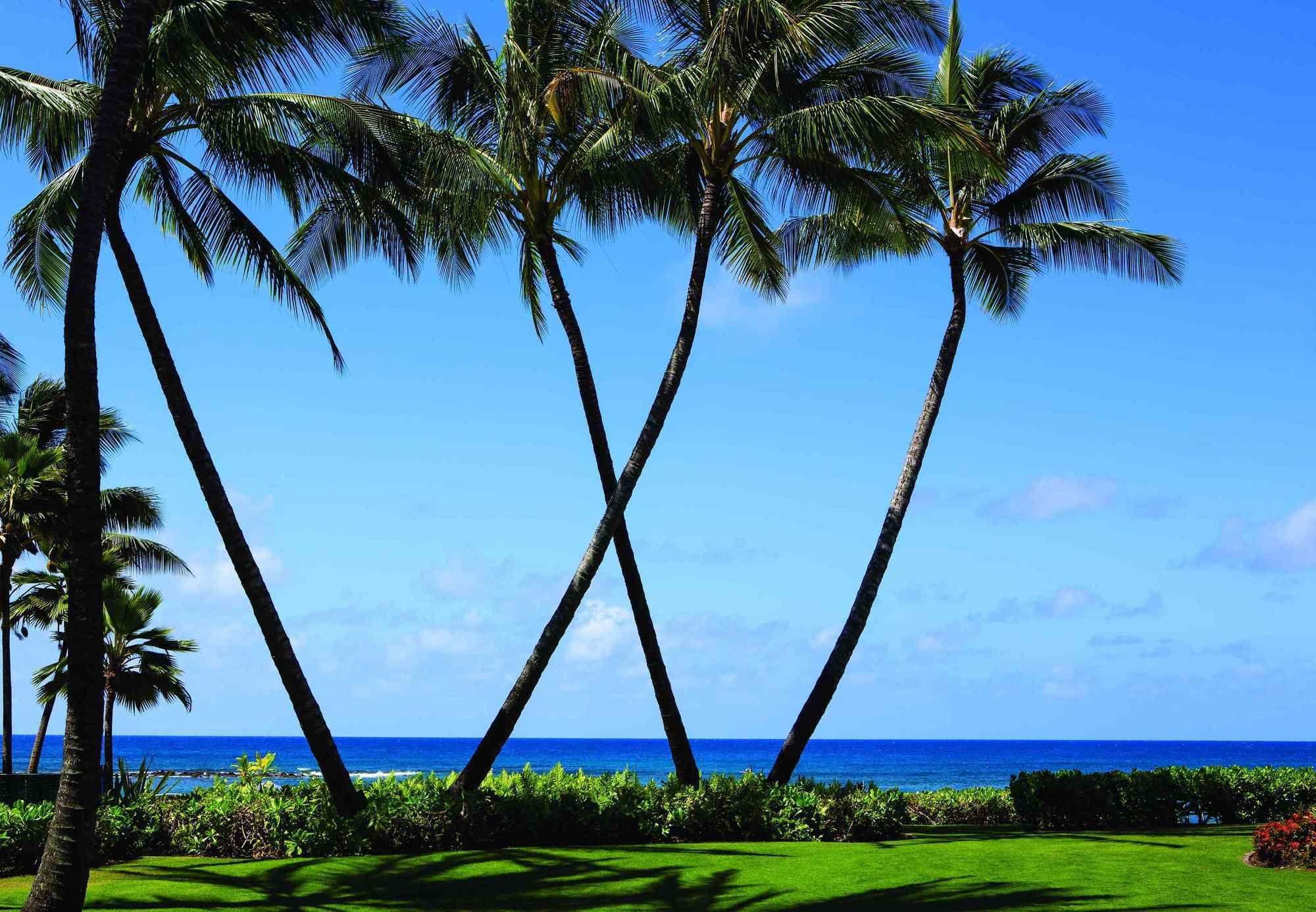 Marriott'S Waiohai Beach Club Koloa Εξωτερικό φωτογραφία